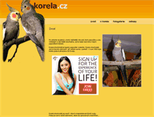 Tablet Screenshot of korela.cz